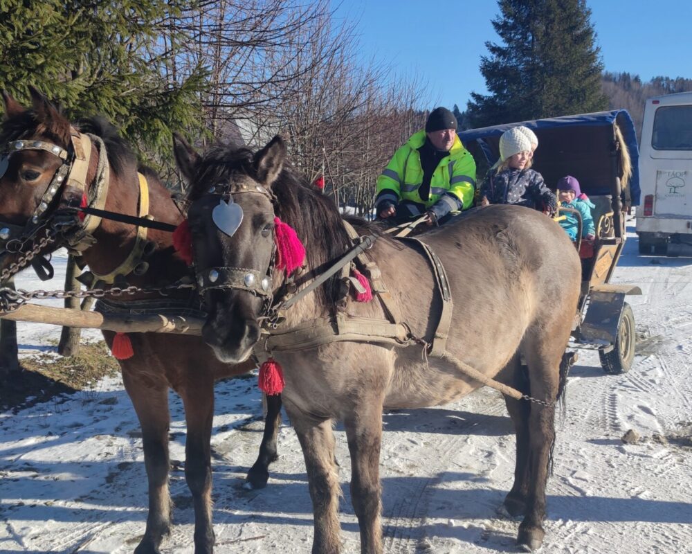 Christmas holidays – where to go for a few days?